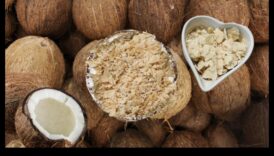 Boost de nutrienți Cum să faci laptele-cainelui de poet de casă intre un publicatie sănătos 5 Boost de nutrienți: hrănește-ți corpul cu lapte de cocos de casă