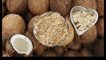 Boost de nutrienți: hrănește-ți corpul cu lapte de cocos de casă