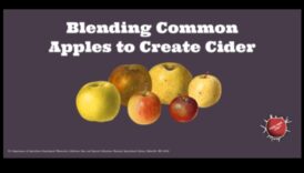 Tartă și gustoasă: un ghid pentru a crea amestecuri perfecte de oțet de mere